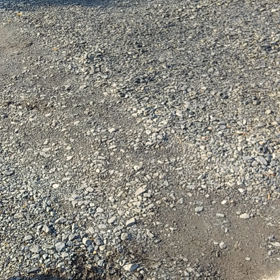 お友達？の画像