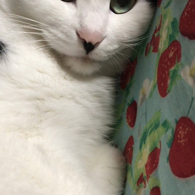 だいじょうぶ？の画像