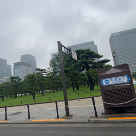松の画像