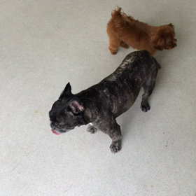 ♪プレイルーム動画♪②の画像