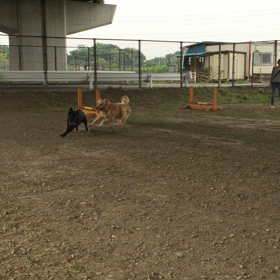 もうすぐ1年の画像