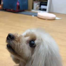 やった事あったか？の画像