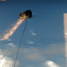 ふんづまり(¯―¯٥)の画像