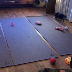 救急病院への画像