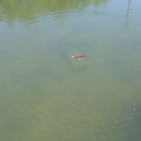 T's工房 ウィングロード TW ts工房 T's工房 ウィングロード TW ts工房