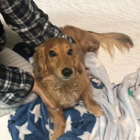 てんかん発作3回目の画像