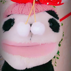 これはいったい…の画像