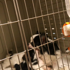 今日も仲良しの画像