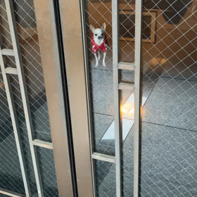 自動ドアの画像