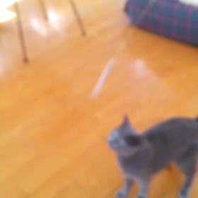 ジュニア立つ　音出ます！の画像