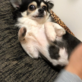 なでなで・スースー☆の画像