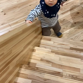 ヨチヨチの画像