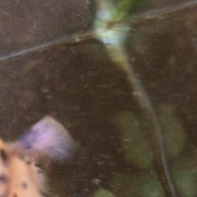 食欲旺盛の画像