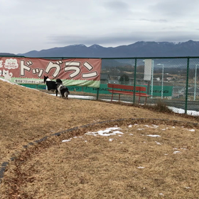 先日佐久のドッグランでのの画像