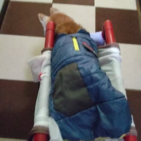 頑張ってますの画像