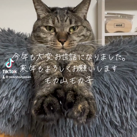 年末のご挨拶の画像