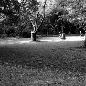 400mインターバル 中間点①の画像