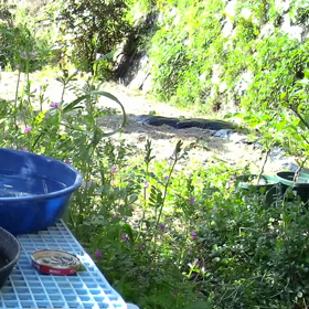 すぎぴたんの事件簿　シーズン２　１０７話の画像