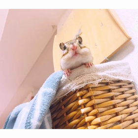 口元がたまらんよー♡♡の画像