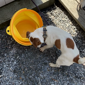 今日は病院。ジャクリーヌ編の画像