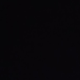 「和歌山へ帰りたい！」part2庭の大掃除〜カラオケボックスの画像