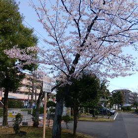 風が強くて冷たくての画像