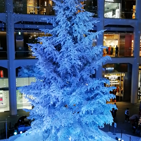 アノスミア  2018.12.16の画像