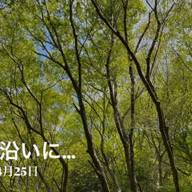 渓流沿いに〜　　ビデオで…^_^の画像