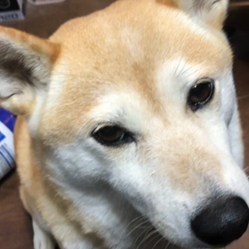 カメラいやいやの画像