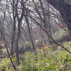 山に行かれる方必ず防寒着をの画像