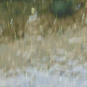 お魚天国な水路！の画像