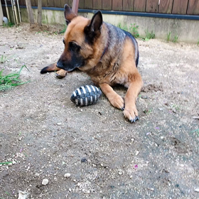 離さないの画像