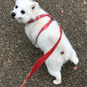 好奇心旺盛❤️はやく 外でれたらいいか❤️の画像