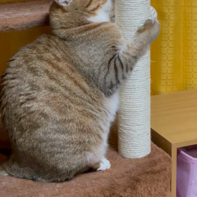 私の宝物❤️❤️の画像