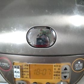 初めて頼みました。の画像