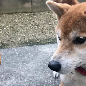 グルグル巻き事件からの〜かゆかゆ。ムツわしゃわしゃしたい。の画像