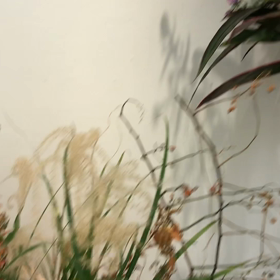 醍醐芳晴、【イヤリング】、希少な画集画、新品高級額・額装付 Amazon.co.jp: 醍醐芳晴の透明水彩 : 醍醐 芳晴: Japanese Books