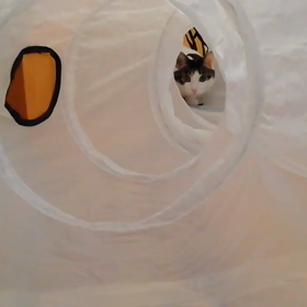 気づきは突然やってくる！の画像