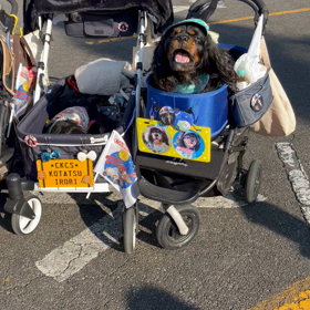 祭りの後がやばかった（；＿；）の画像