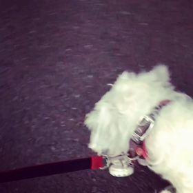 未知との遭遇⁉️の画像