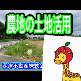 農地の土地活用2の画像