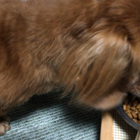 上がって落ちて…の画像