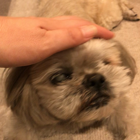 ナデナデタイムの画像