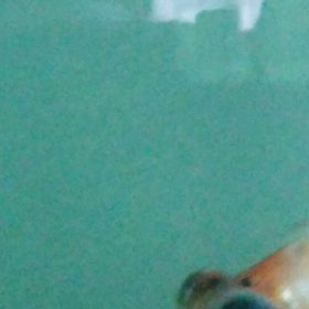 きっと前世は……の画像