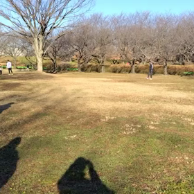 1/6 クロカンダッシュ⑥の画像