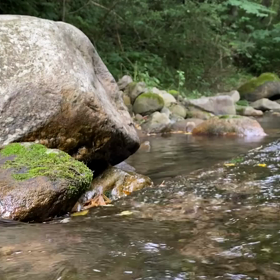 “自然と音遊び” プロジェクト vol.076！の画像