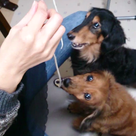 私な好きな映像の画像