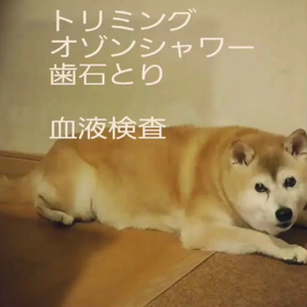 お疲れさまの画像