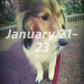 ハイライトムービーの画像