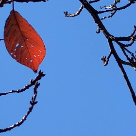 青空良いな〜の画像